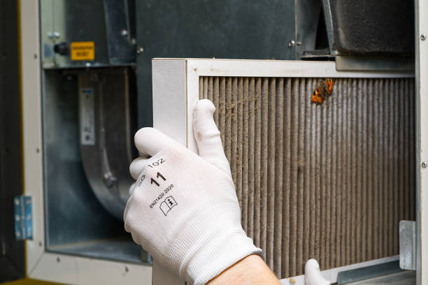 Best Home Air Vent Cleaning  in Las Flores, CA